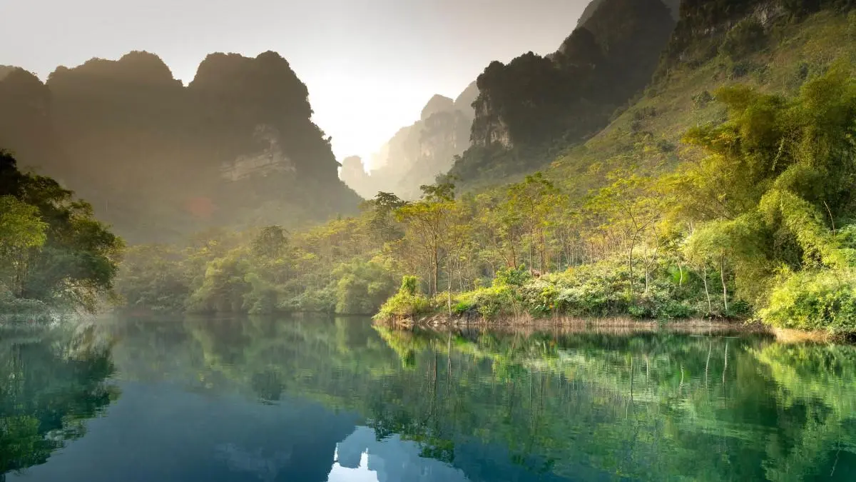 智能系统先进
